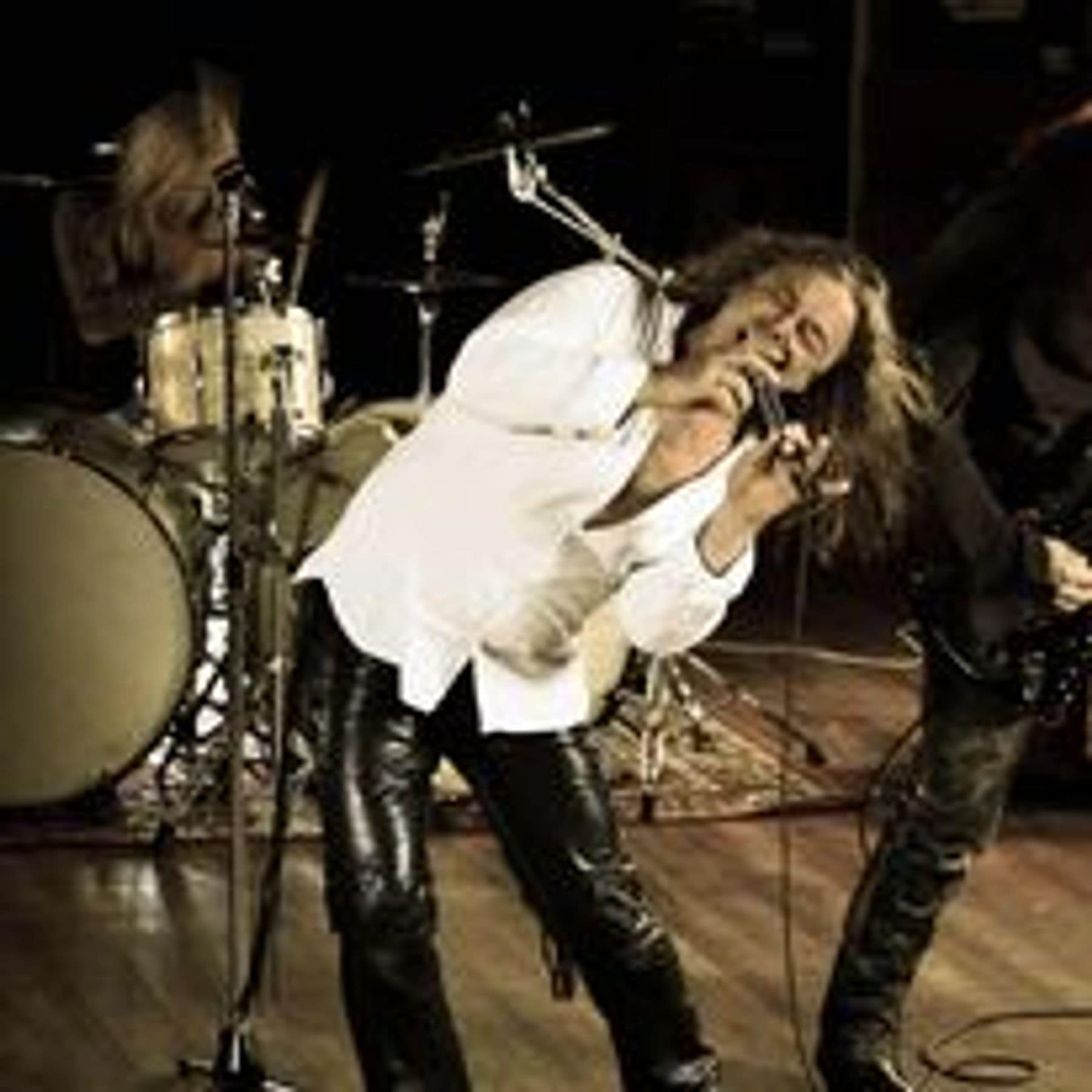 Brian Bee Frank live on stage with the full band